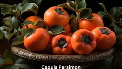 Caquis Persimon