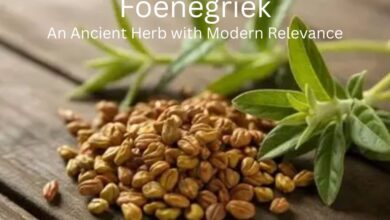 Foenegriek