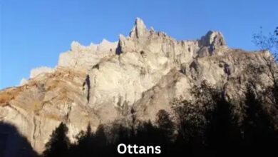 Ottans