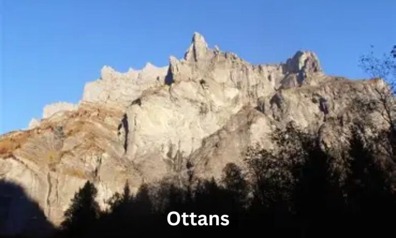 Ottans